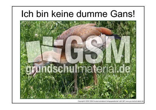 Dumme-Gans-2.pdf